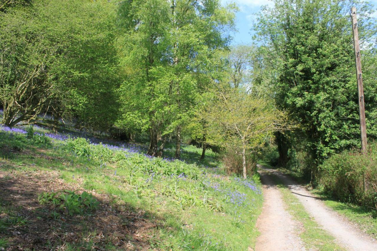 Church Hill Farm 蒙默思 外观 照片